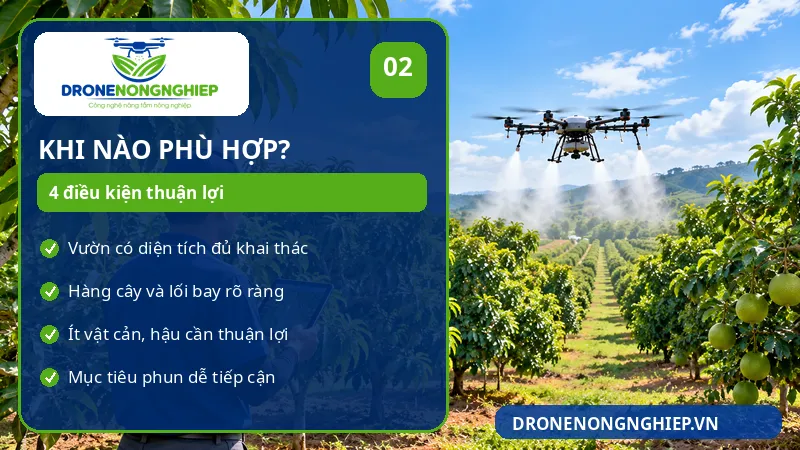 Vườn cây ăn trái nào phù hợp vận hành drone phun thuốc