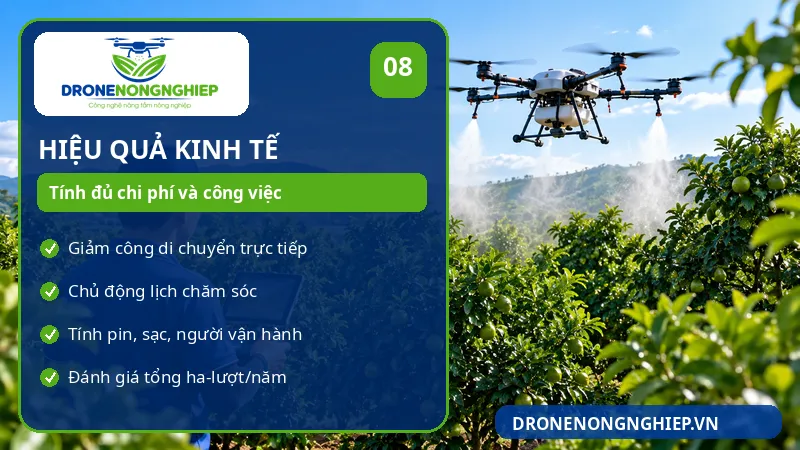 Hiệu quả kinh tế thực tế khi đầu tư drone phun thuốc cho cây ăn trái
