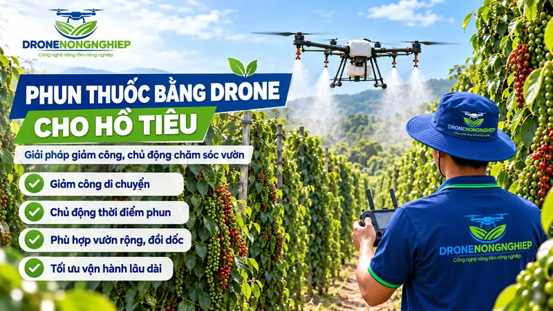 Drone nông nghiệp phun thuốc cho cây hồ tiêu