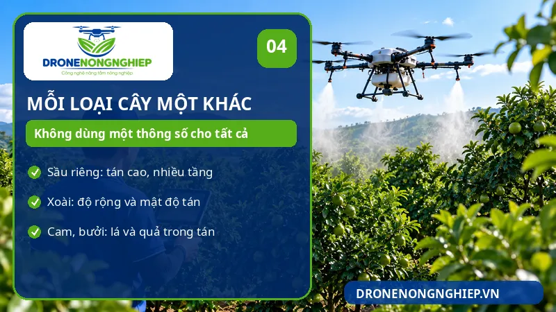 Mỗi loại cây ăn quả có đặc điểm khác nhau nên vận hành drone phun thuốc sẽ khác nhau