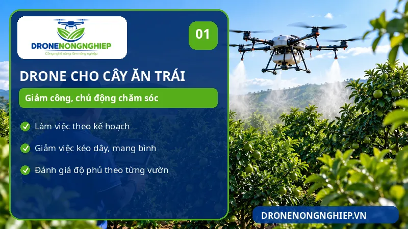 Phun thuốc bằng drone cho vườn cây ăn trái