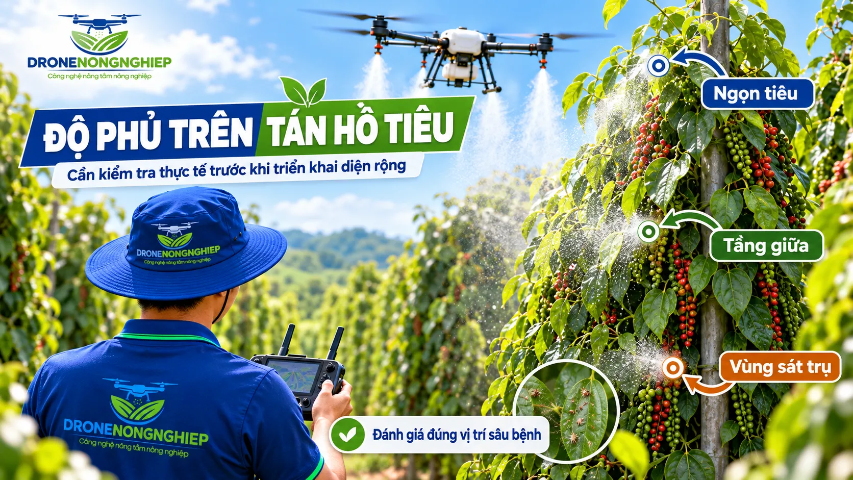Độ phủ tán là yếu tố quyết định hiệu quả khi phun thuốc bằng drone cho hồ tiêu